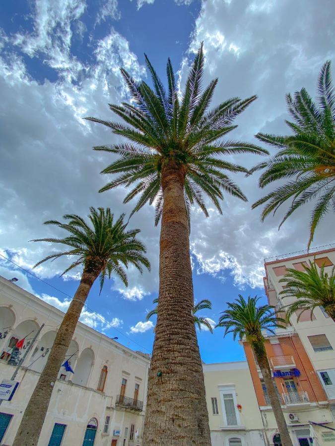 D'Angio Rooms-Manfredi Homes&Villas Manfredonia Dış mekan fotoğraf